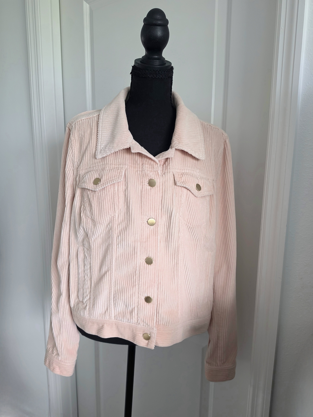 🍂 LOFT Light Pink Corduroy Button Jacket 🩷